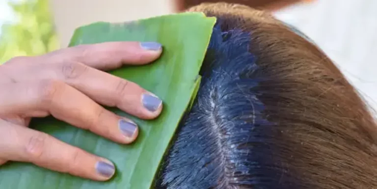 Lidah Buaya untuk Rambut : Manfaat dan Cara Menggunakannya