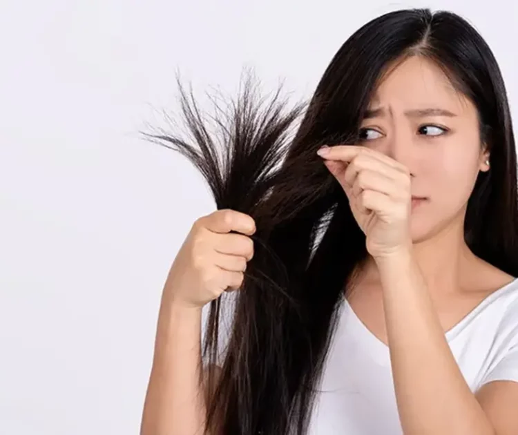 Rambut Bercabang Parah? Ini Penyebab dan Cara Mengatasinya