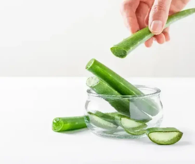 Apakah Lidah Buaya Bisa Memanjangkan Rambut?