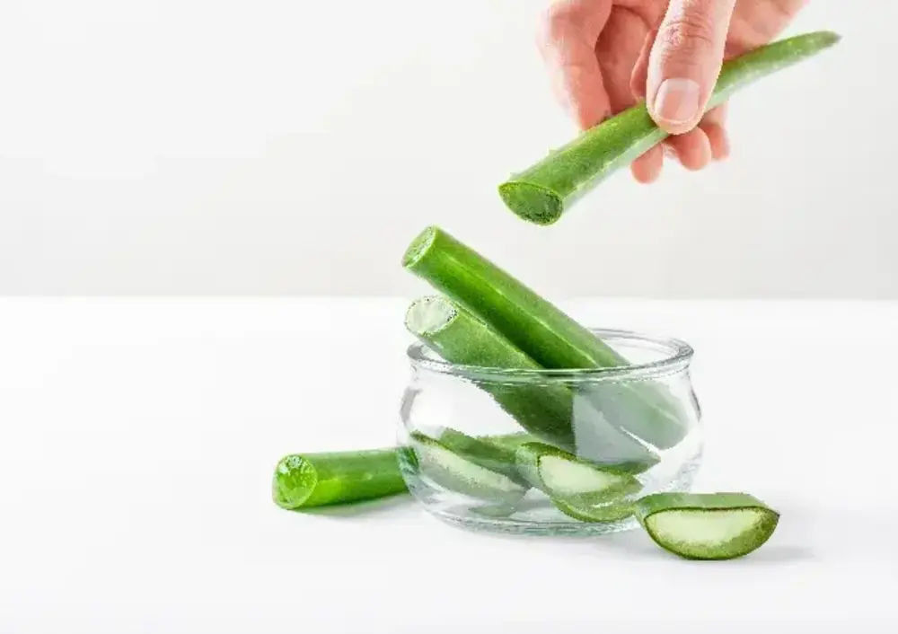 Apakah Lidah Buaya Bisa Memanjangkan Rambut?