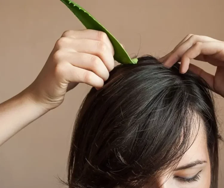 Cara Menggunakan Lidah Buaya untuk Rambut Rontok, Bisa Coba di Rumah!