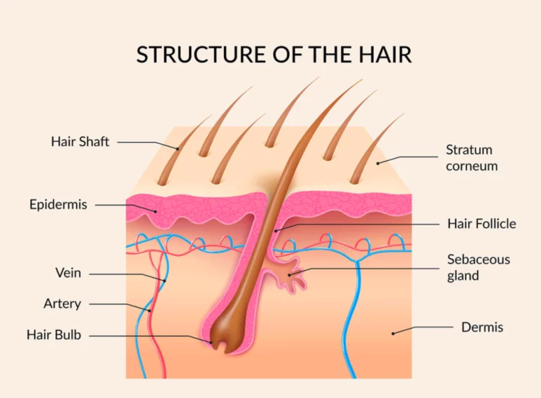 Apa itu Hair Shaft? Kenali Bagian Rambut yang Sering Diabaikan