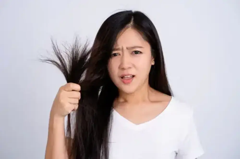 Mengapa Rambut Patah Terjadi dan Bagaimana Cara Memperbaikinya?
